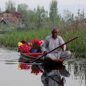 dal lake, asia, vendor-7182417.jpg